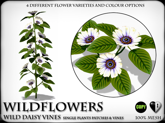 Second Life Marketplace Wild Flowers Daisy Vines